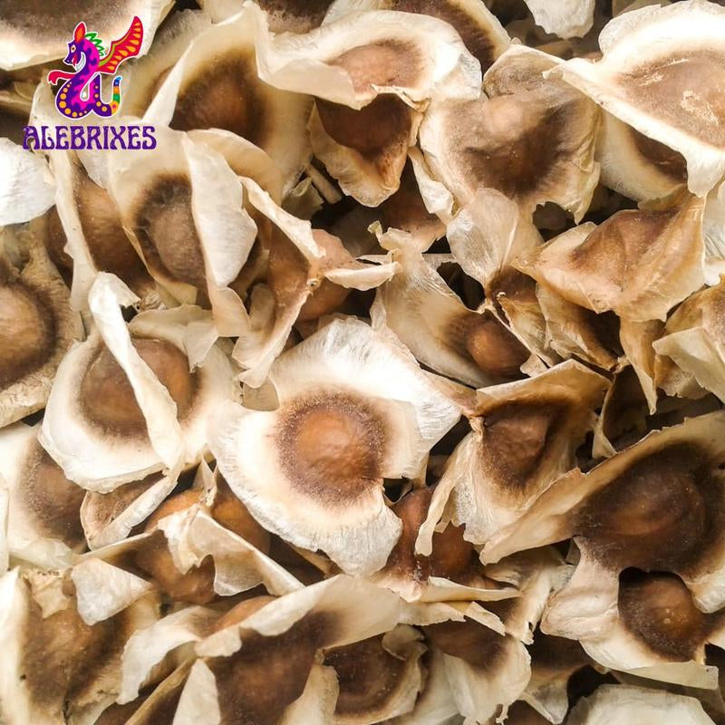 Alebrixes - Moringa 6 Oz (+800 Pz) | Premium Quality Moringa Oleifera (Drumstick) | 100% Natural Herbal Tea | Resealable Pouch | Imported from Mexico