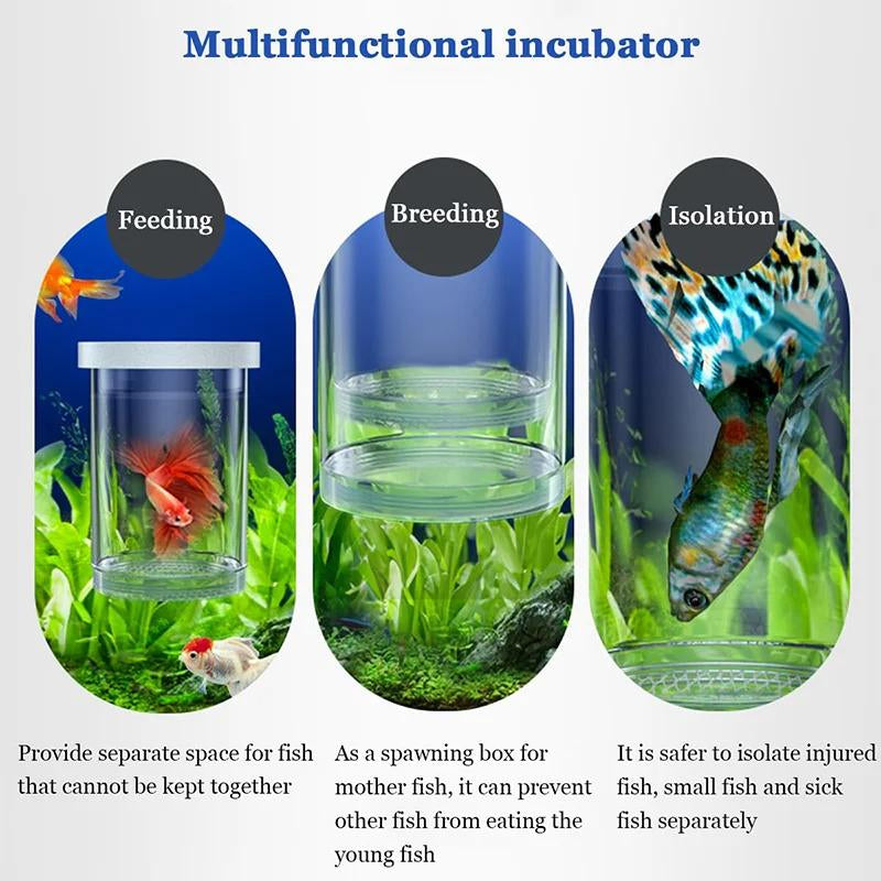 Magic Floating Nursery Self-Adjusting Breeder Box for Baby Fish - Safe Zone, Breathable Mesh Tank for Shrimp & Fry Protection