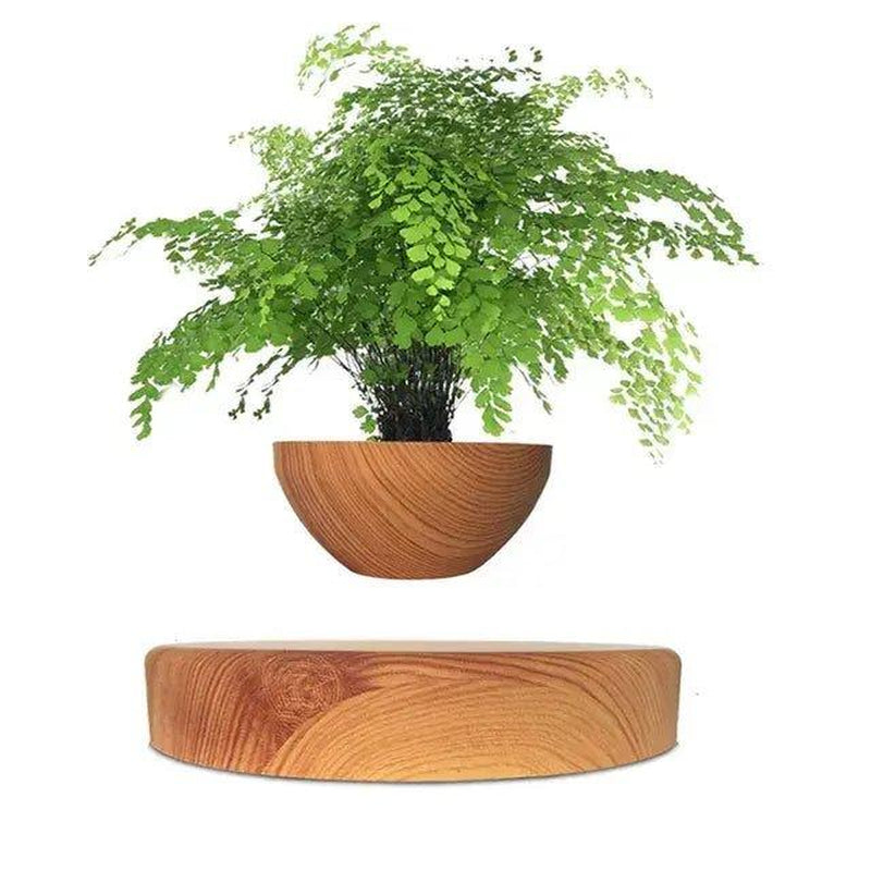 Levitating Air Bonsai Flower Pot